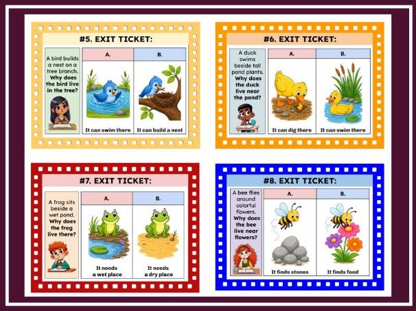 NGSS K-ESS3-1 Relationship Between Plant, Animal, and Human Needs & Habitats | Kindergarten Science