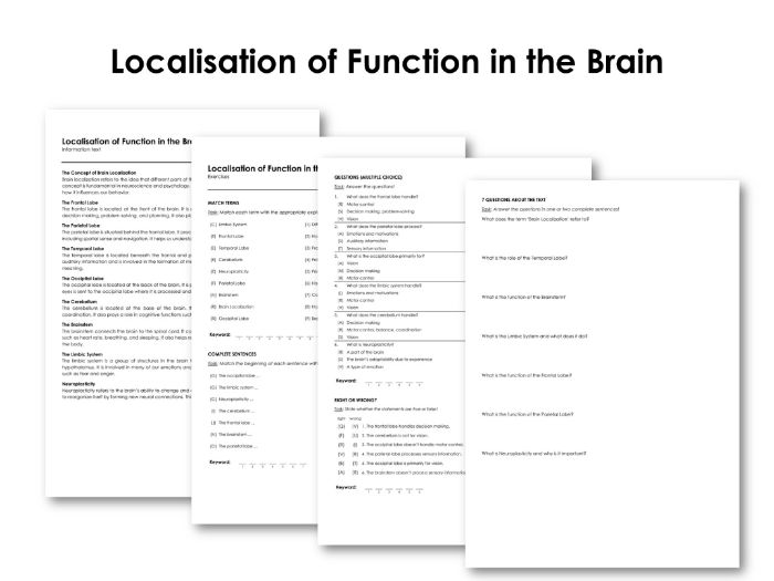 Localisation of Function in the Brain | Teaching Resources