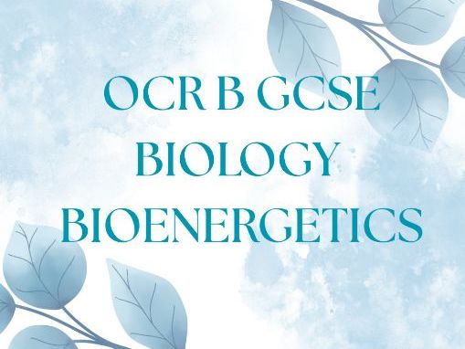 OCR B GCSE BIOLOGY BIOENERGETICS