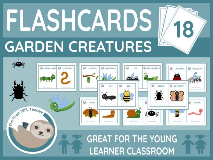 ESL Garden Creatures Flashcards