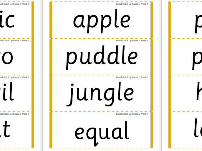 Rapid Catch Up Phase 5 Week 6 (Supports Little Wandle)