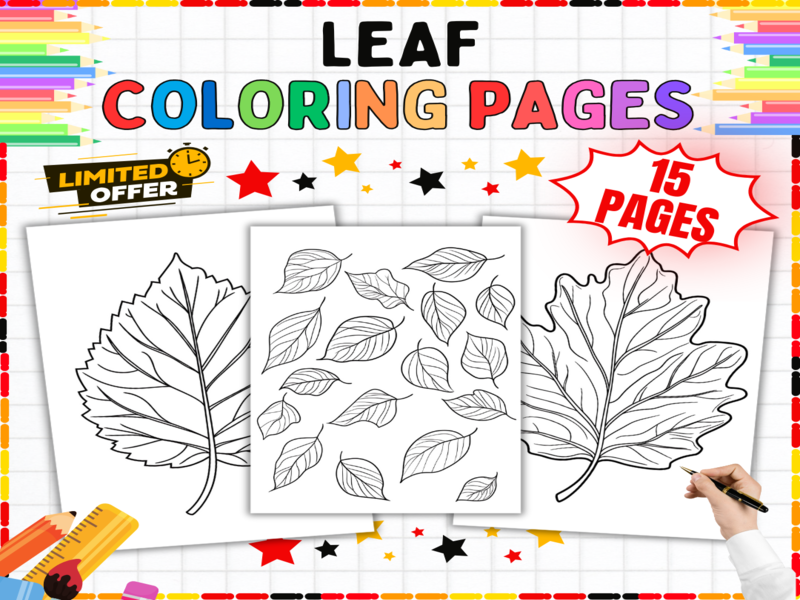 15 Leaf Colouring Sheets | Autumn Fall Nature Activities for Young Learners EYFS