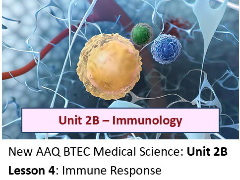 AAQ BTEC Medical Science Unit 2B Immunology – Lesson 4: Immune Response
