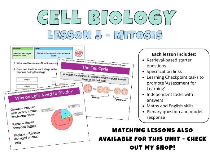 GCSE Cell Biology - Mitosis Complete Lesson