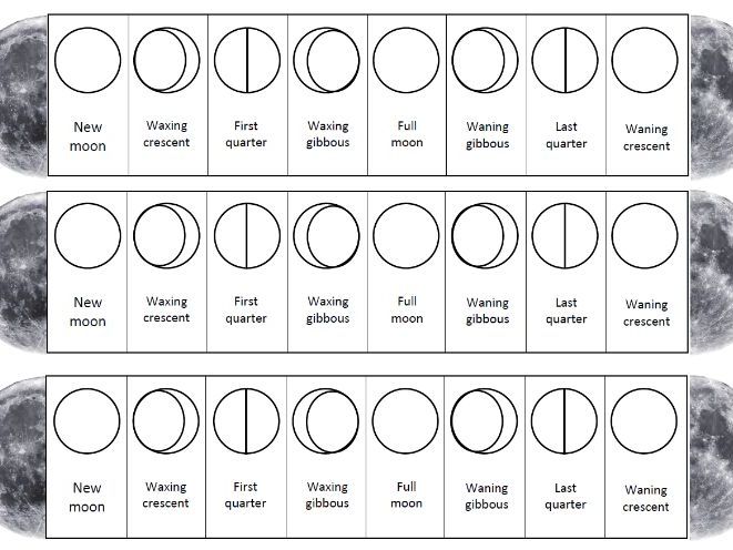 Moon phases folding mini book