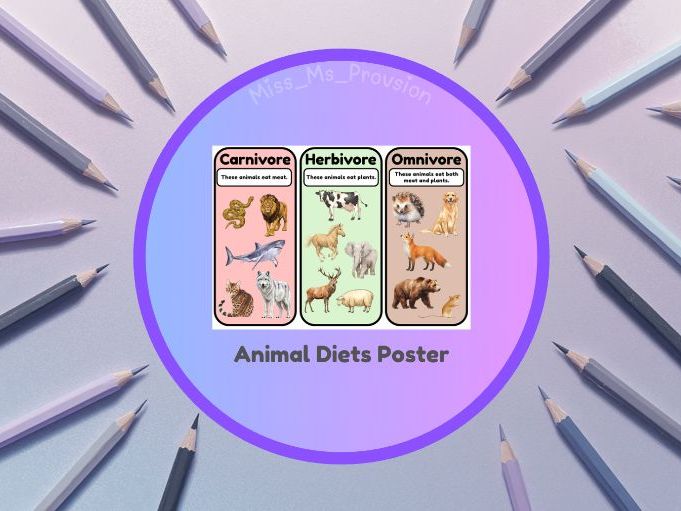 Animal Diets Poster