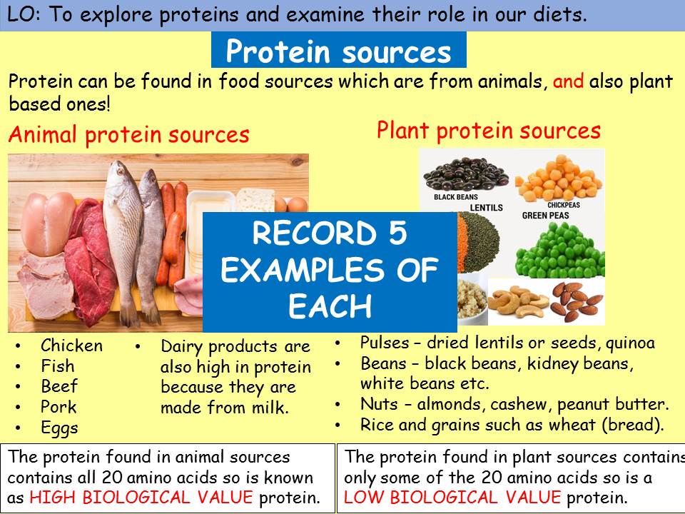 Protein function, sources, excess and deficiency Teaching Resources