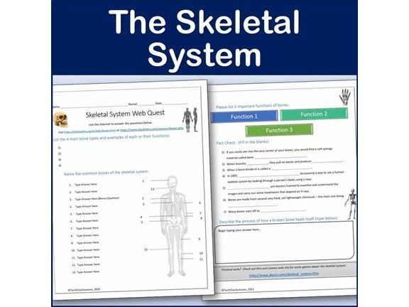 Skeletal System Webquest | Editable Digital Science Activity