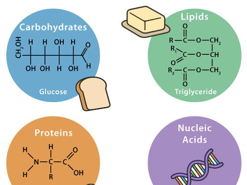 AS Chemistry - Unit 13 An introduction to organic chemistry