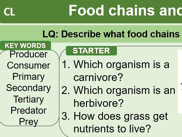 KS3 Biology Ecosystem lessons Year 7 or 8