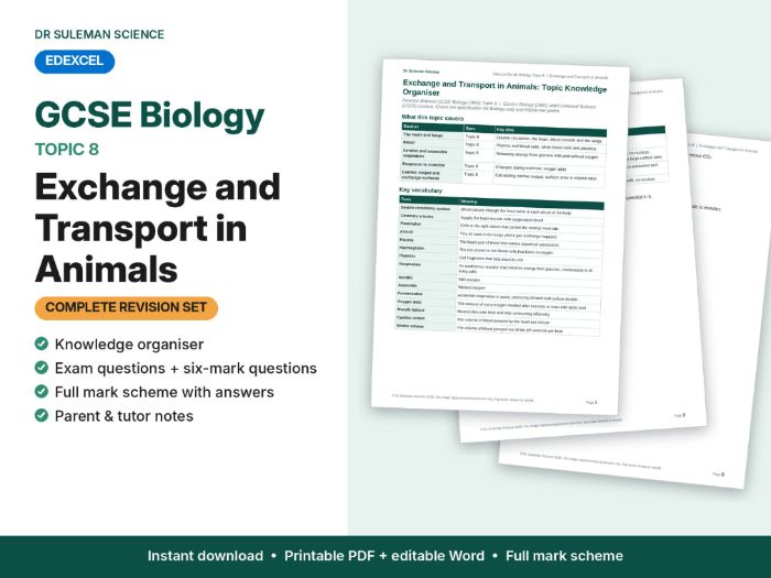 Edexcel GCSE Biology Topic 8 Exchange & Transport in Animals Revision