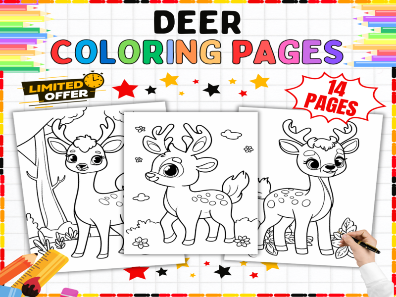 Deer Colouring Pages | 14 Cute Woodland Animal Designs | Primary Nature Art Activities Bundle