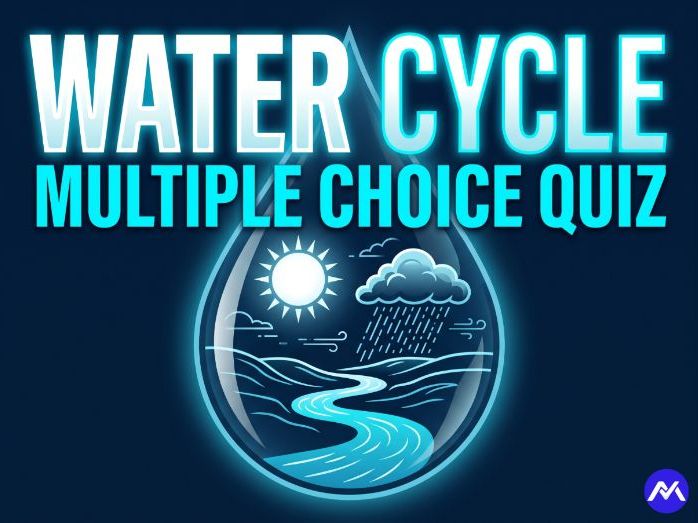 Year 5 Geography: Rivers and the Water Cycle MCQ