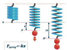 Hooke's law Required Practical (RPA)