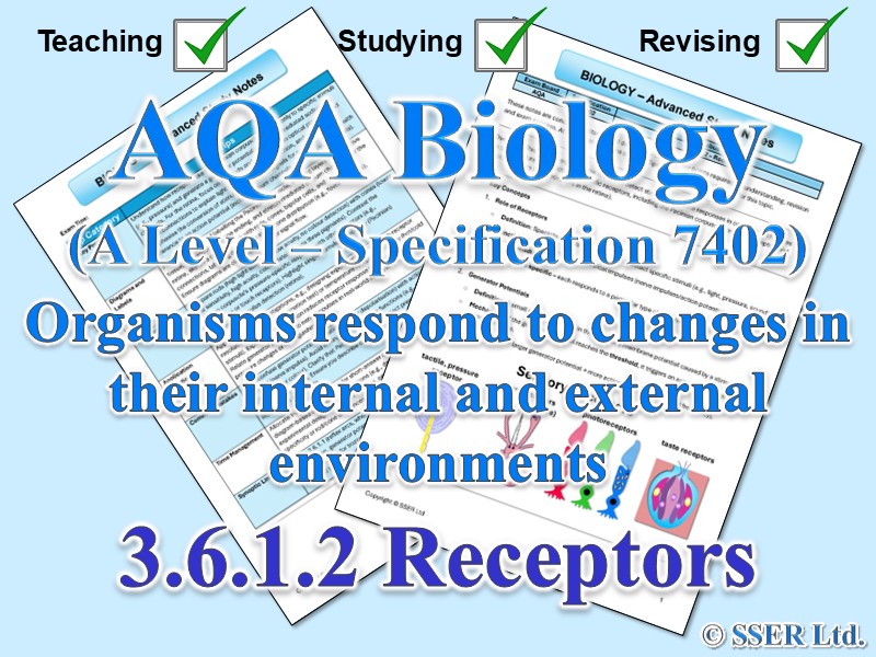 BIOA_AQA Topic Notes: 3.6.1.2 Receptors