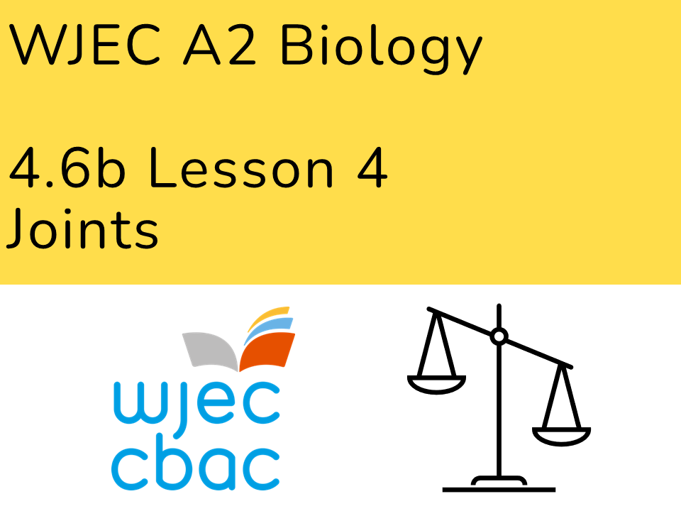 A2 Biology WJEC 4.6b L4 Joints