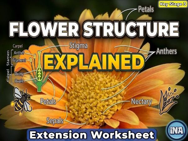 Flower Structure - KS3 Biology Extension Pack