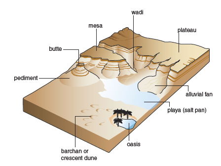 Cambridge A Level Geography  - 10.2 Processes and landforms in arid environments