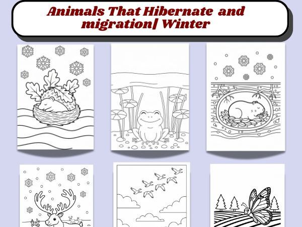 Animals That Hibernate and Migrate  Winter Coloring