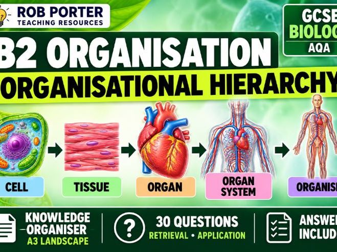 GCSE Biology Organisation – Organisational Hierarchy Knowledge Organiser + 30 Questions
