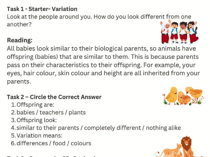KS2/L1 - Variation/Worksheet/With Answers/Section 4/Evolution & Inheritance/Year 6/ SATs/Science