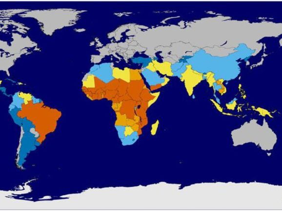Cambridge A Level Geography  - 14.1 Distribution of diseases