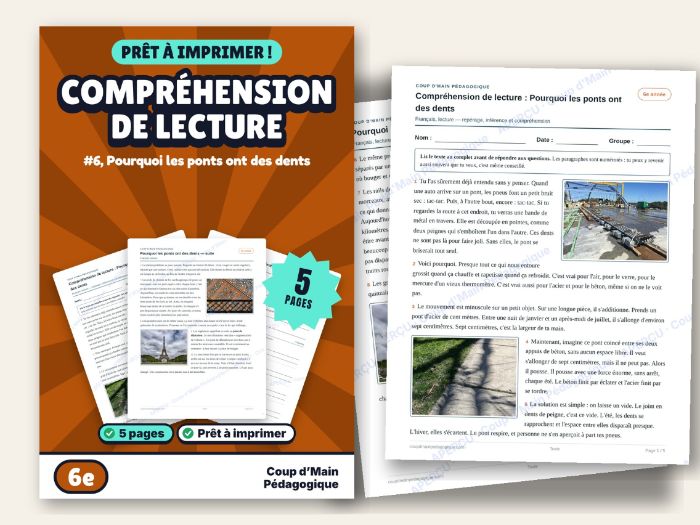 French Reading Comprehension Grade 6 Science | Pourquoi les ponts ont des dents