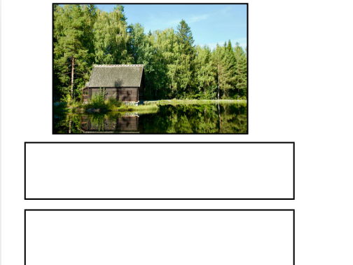 Year 1 English Week 19: Poster & Captions