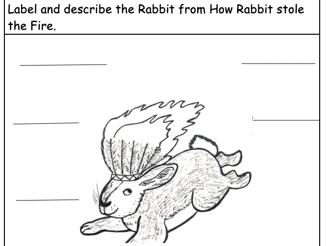 Rabbit habitat picture