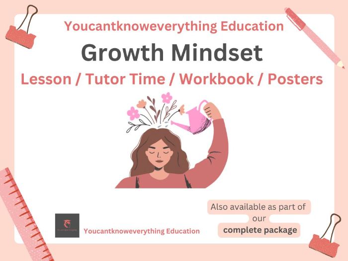 Growth Mindset Lesson PSHE 2026