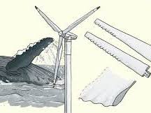 STEM Biomimicry Lesson