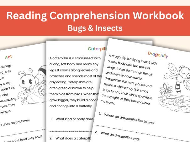 Insects Reading Comprehension Workbook | 18 Fun Non-Fiction Passages for KS1
