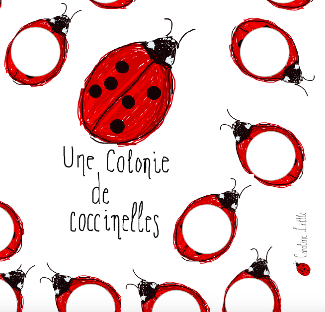 Une colonie de coccinelles