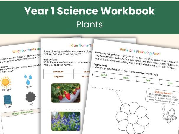 Year 1 Science Plants Workbook | Printable Science Lesson Resources | 16 Pages