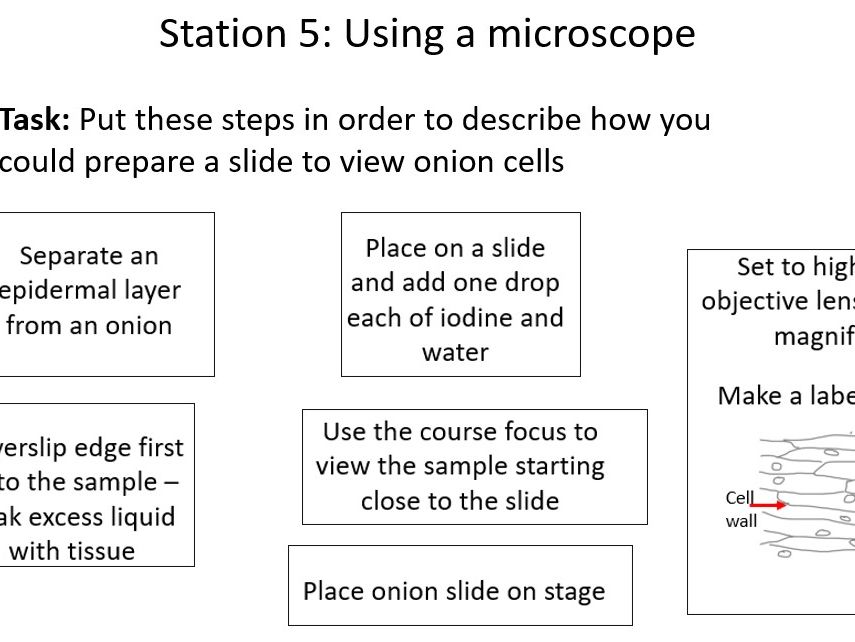 Biology Paper 1 Revision Circus (AQA Combined Science)