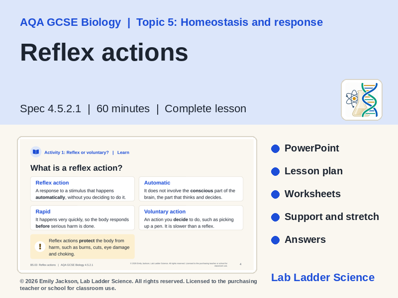 B5-03 Reflex Actions & Synapses: AQA GCSE Biology