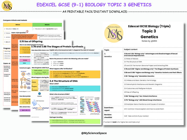 Edexcel GCSE (9-1): Topic 3 Genetics Mark Scheme-Style Revision Notes