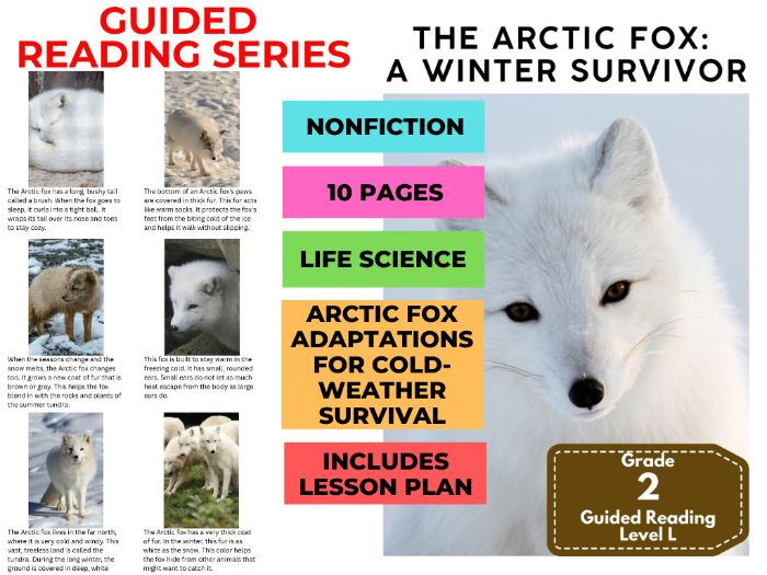 Guided Reading Level L - The Arctic Fox (with Lesson Plan)