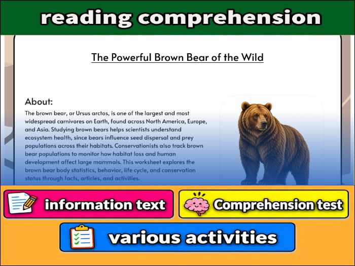 The Powerful Brown Bear of the Wild - zoology & Activities