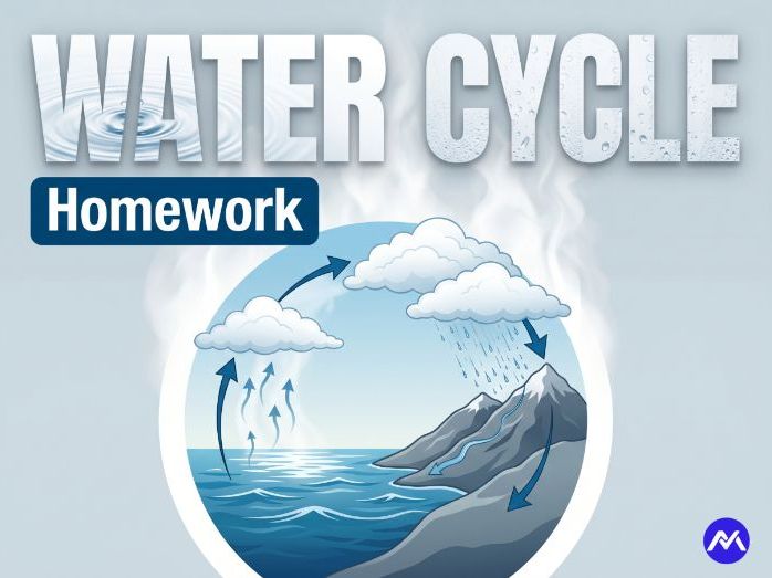 Water Cycle Homework for Year 6 Geography - KS2