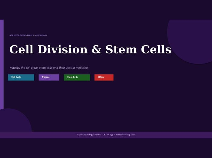 Cell Division and Stem Cells: AQA GCSE Biology Revision PowerPoint