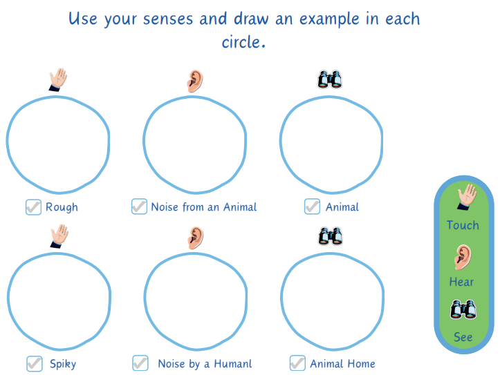 Outdoor Senses Adventure: An EYFS & KS1 Learning Resource