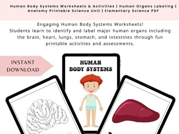 Human Body Systems Worksheets & Activities