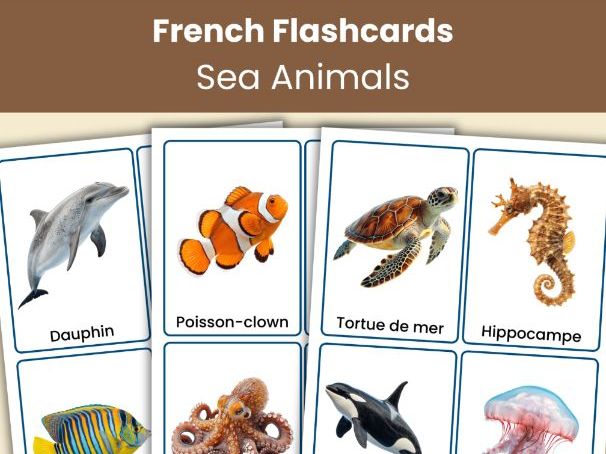 French Sea Animals Flashcards | 24 Real Photo Vocabulary Cards