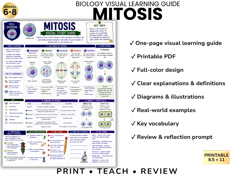 MITOSIS | Biology Visual Learning Guide | Grade 8 & Middle School Science