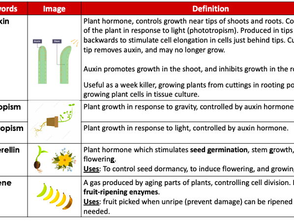 GCSE Biology Homeostasis - All Lessons and Revision