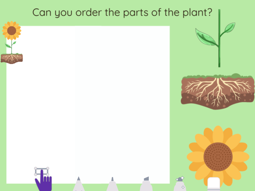 Seesaw Activity - Parts of a Plant