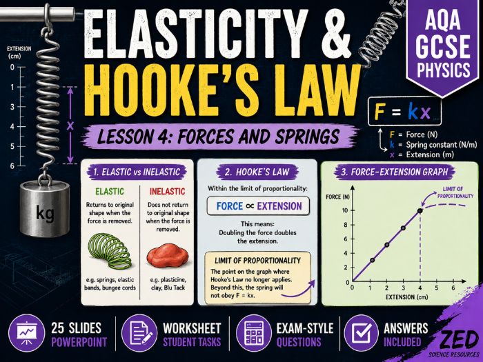GCSE Physics Elasticity & Hooke's Law | AQA Combined Science | PowerPoint, Worksheet & Answers