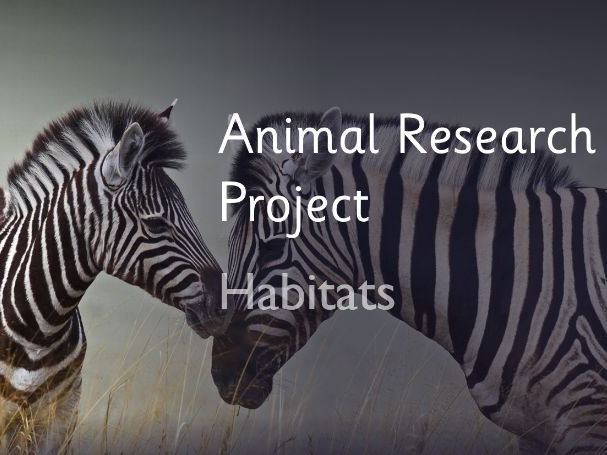 Animal Research Project