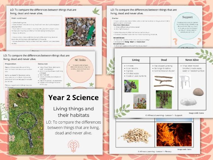 KS1 Year 2 Living Things Outdoor Science Lesson - Living, dead, never alive